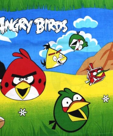 Angry Birds CArtoon Bedsheet Close